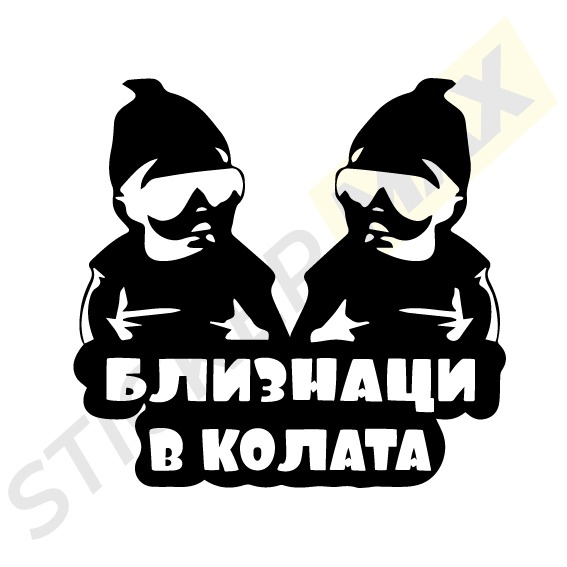 Стикер - Близнаци в колата 3038